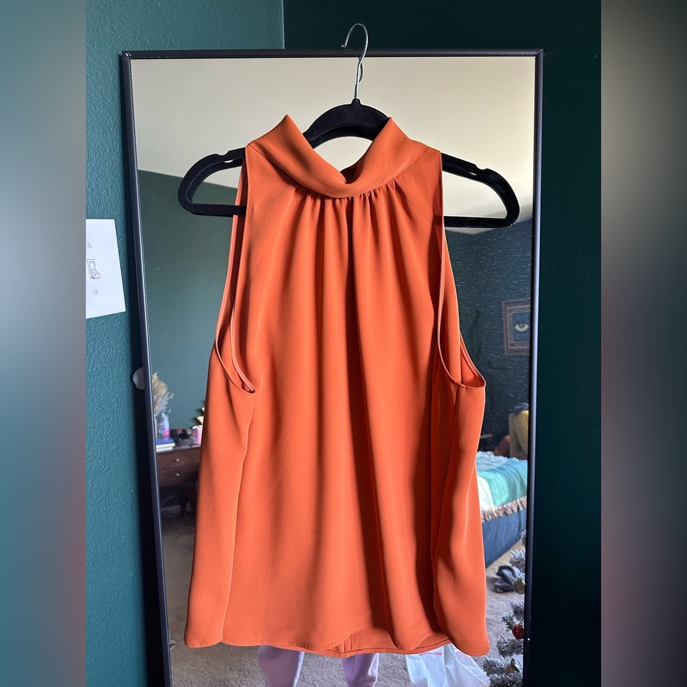Babaton Vitae Blouse (from Aritzia)